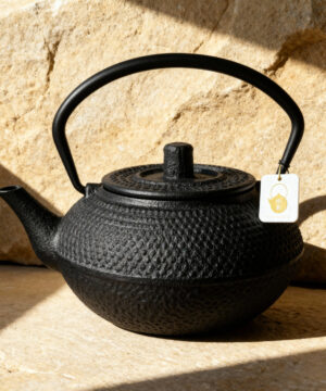 Théière Style japonais bouilloire en fonte noir